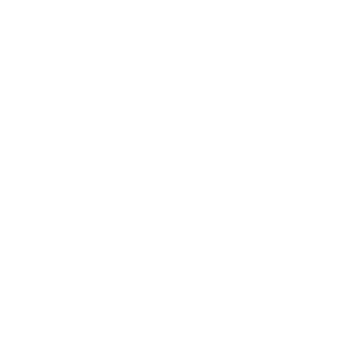 Amir Barbershop Logo